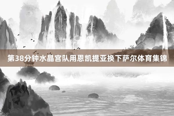 第38分钟水晶宫队用恩凯提亚换下萨尔体育集锦