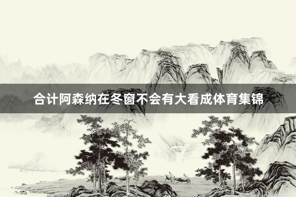 合计阿森纳在冬窗不会有大看成体育集锦