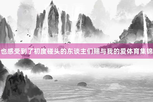 也感受到了初度碰头的东谈主们赐与我的爱体育集锦