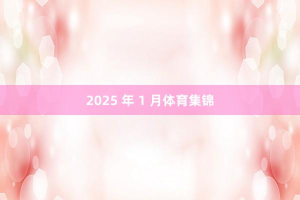 2025 年 1 月体育集锦