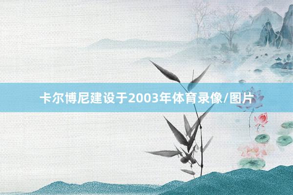 卡尔博尼建设于2003年体育录像/图片