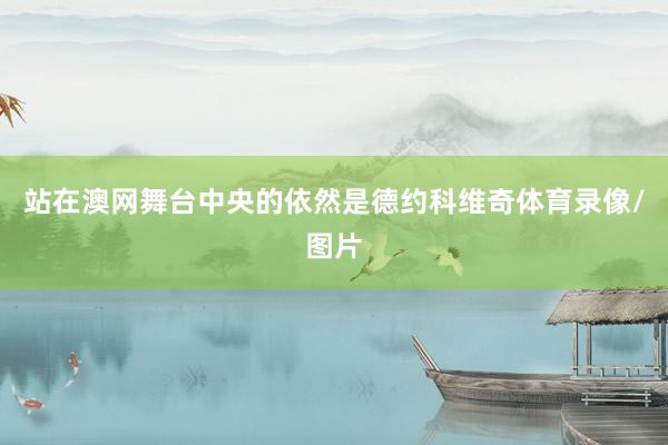 站在澳网舞台中央的依然是德约科维奇体育录像/图片