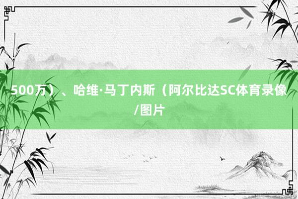 500万）、哈维·马丁内斯（阿尔比达SC体育录像/图片