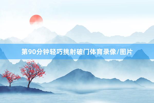 第90分钟轻巧挑射破门体育录像/图片