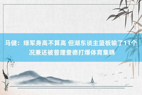 马健：绿军身高不算高 但湖东谈主篮板输了11个 况兼还被普理查德打爆体育集锦