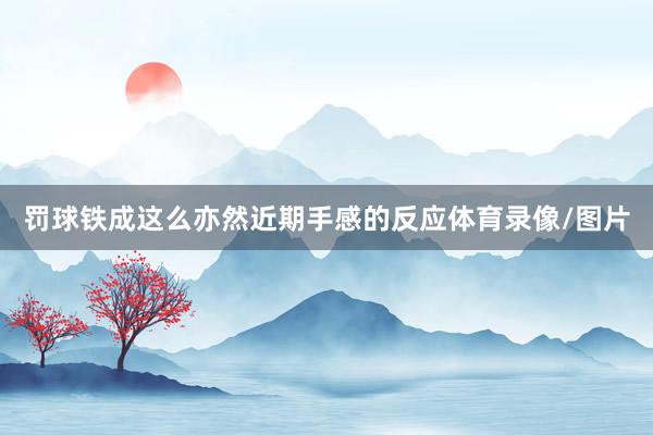罚球铁成这么亦然近期手感的反应体育录像/图片