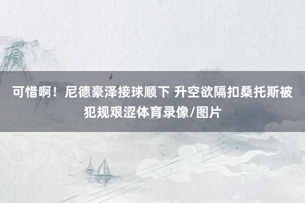 可惜啊！尼德豪泽接球顺下 升空欲隔扣桑托斯被犯规艰涩体育录像/图片