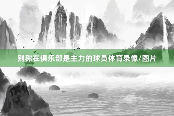 别称在俱乐部是主力的球员体育录像/图片