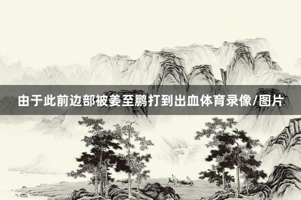 由于此前边部被姜至鹏打到出血体育录像/图片