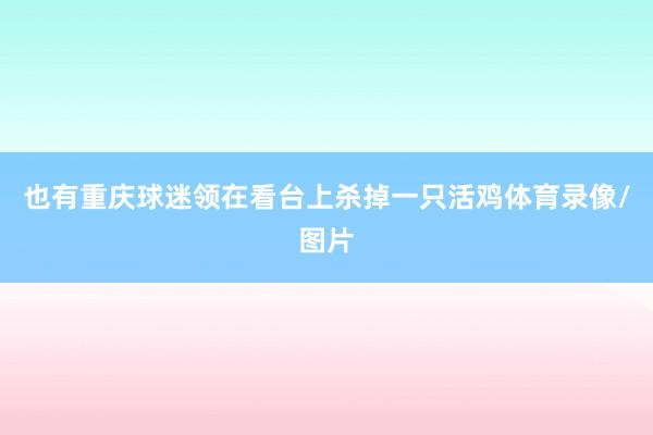 也有重庆球迷领在看台上杀掉一只活鸡体育录像/图片