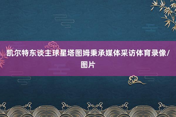 凯尔特东谈主球星塔图姆秉承媒体采访体育录像/图片