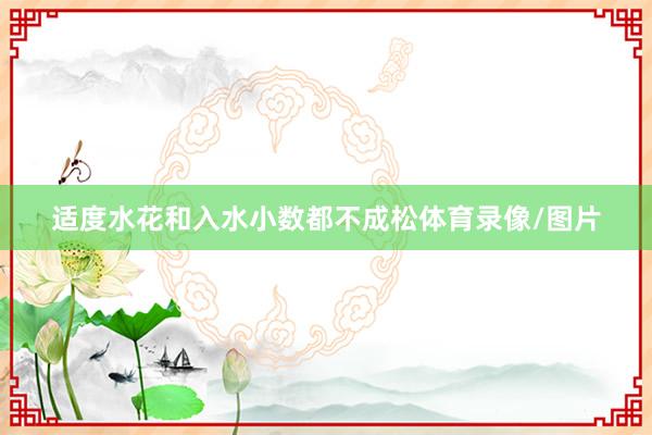 适度水花和入水小数都不成松体育录像/图片