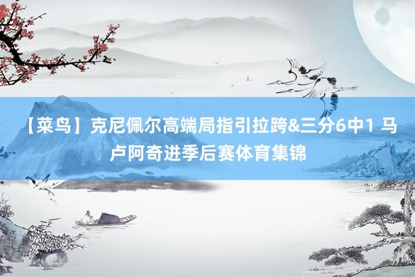 【菜鸟】克尼佩尔高端局指引拉跨&三分6中1 马卢阿奇进季后赛体育集锦
