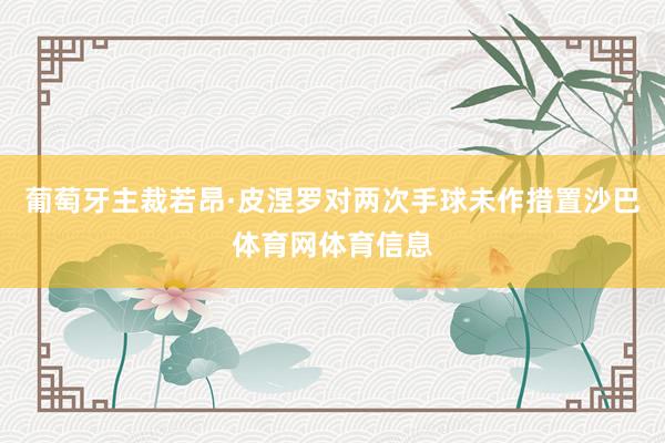 葡萄牙主裁若昂·皮涅罗对两次手球未作措置沙巴体育网体育信息