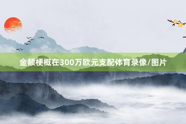 金额梗概在300万欧元支配体育录像/图片