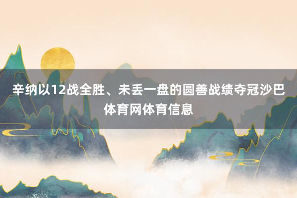 辛纳以12战全胜、未丢一盘的圆善战绩夺冠沙巴体育网体育信息