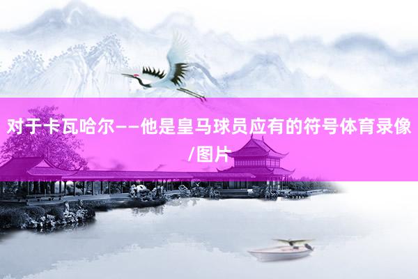 对于卡瓦哈尔——他是皇马球员应有的符号体育录像/图片