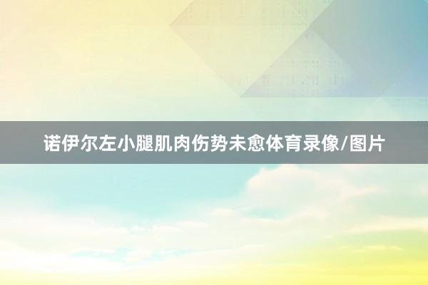 诺伊尔左小腿肌肉伤势未愈体育录像/图片
