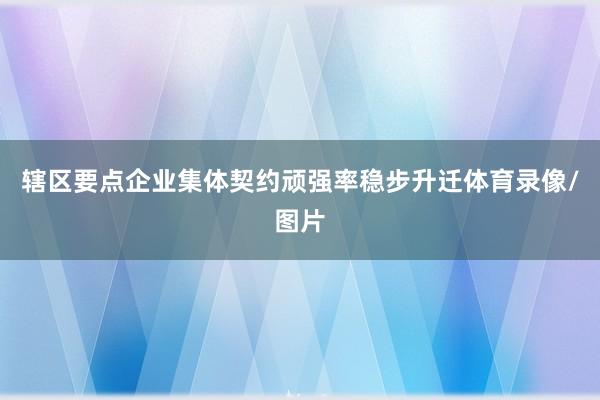 辖区要点企业集体契约顽强率稳步升迁体育录像/图片