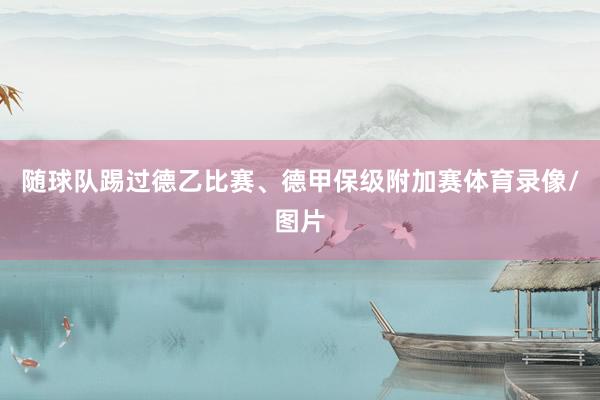随球队踢过德乙比赛、德甲保级附加赛体育录像/图片