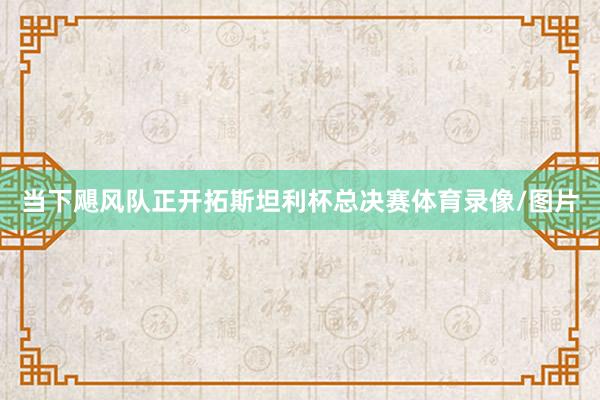 当下飓风队正开拓斯坦利杯总决赛体育录像/图片