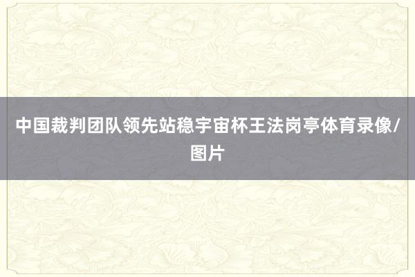 中国裁判团队领先站稳宇宙杯王法岗亭体育录像/图片