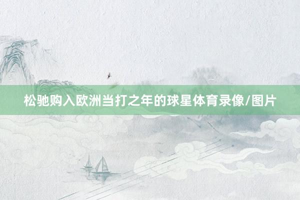 松驰购入欧洲当打之年的球星体育录像/图片