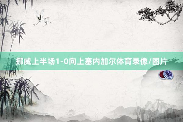 挪威上半场1-0向上塞内加尔体育录像/图片